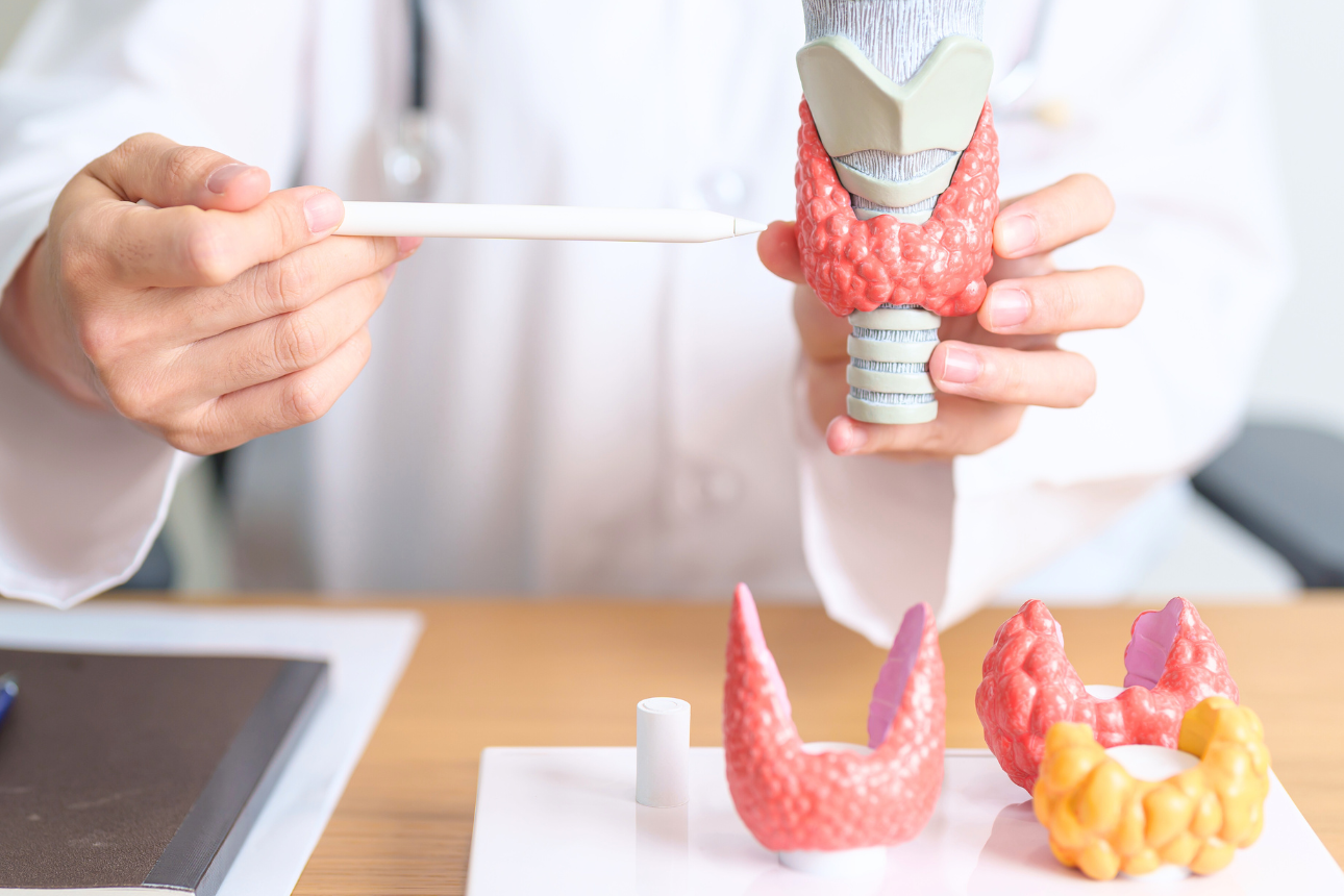 Ce este endocrinologia?